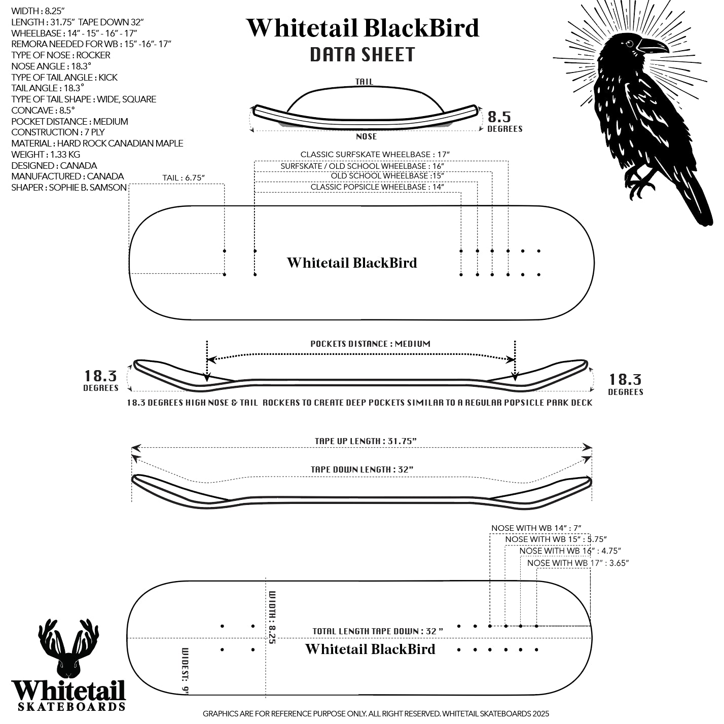 BlackBird Street Skate & Surfskate Hybrid