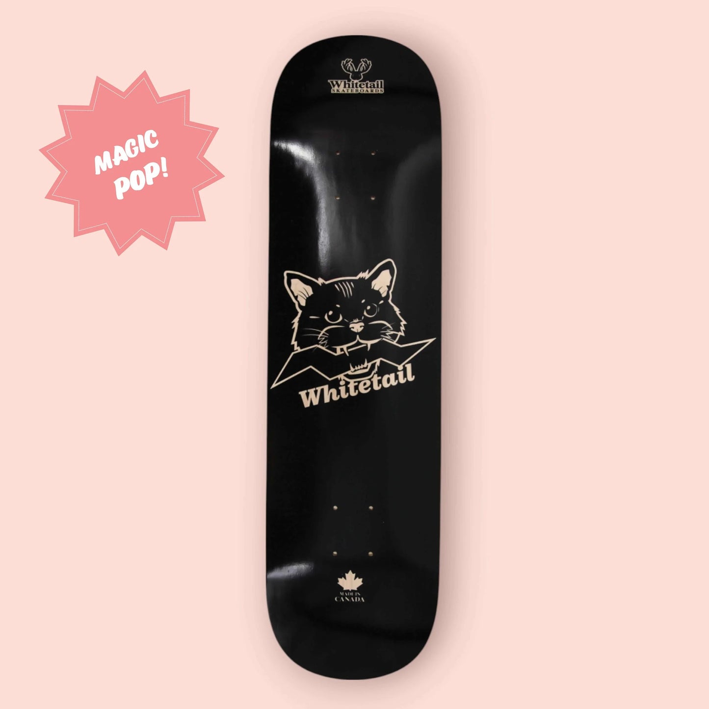 StreetCat Skate