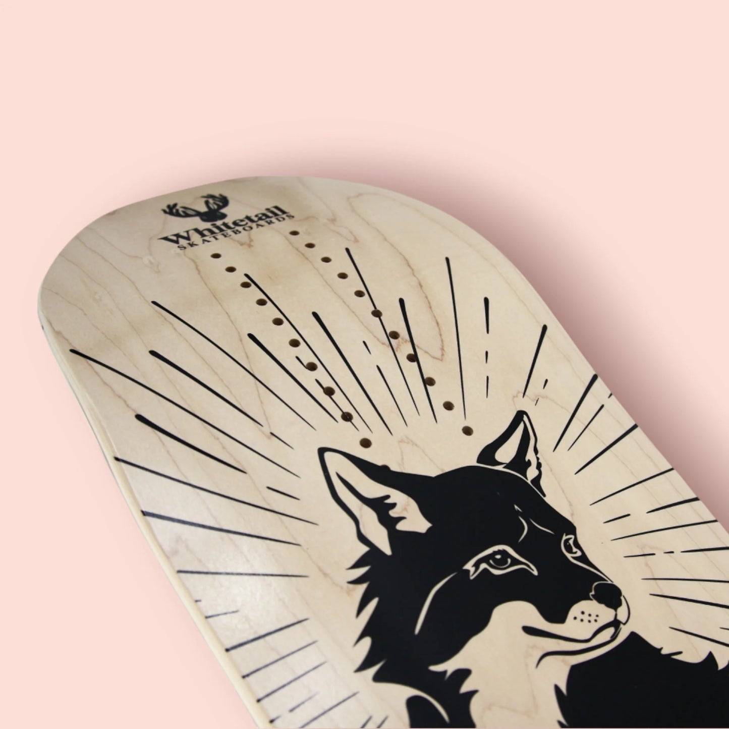 The Fox